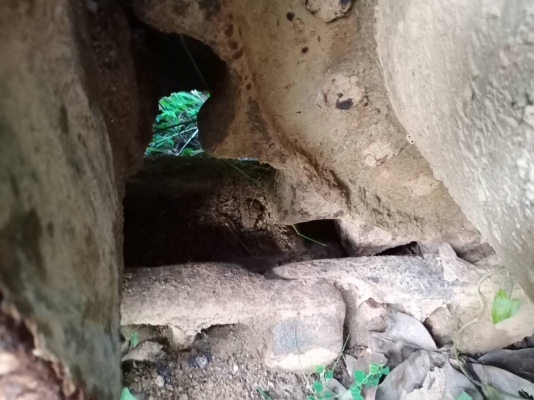 ขายรถแบคโฮ KOBELCO SK07-// HDL มีที่ปรับคอลโทรล ไม่มีเครื่องยนต์อย่างเดียว ราคา 180000 ขายรถแบคโฮ KOBELCO SK07-// HDL มีที่ปรับคอลโทรล ไม่มีเครื่องยนต์อย่างเดียว ราคา 180000