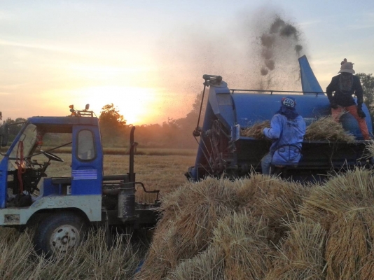 ขายรถนวดข้าว