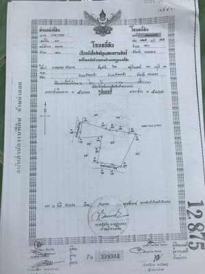ขายที่ดินมีโฉนดอยู่เขตเทศบาลพร้อมไม้ประดู่5-ปีประมาณรวมประมาณ1000-1500ต้นสามารถตัดขายได้ไม่ไกลจากตัว ขายที่ดินมีโฉนดอยู่เขตเทศบาลพร้อมไม้ประดู่5-ปีประมาณรวมประมาณ1000-1500ต้นสามารถตัดขายได้ไม่ไกลจากตัว