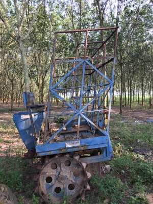 ขายตู้ปลูกอ้อย