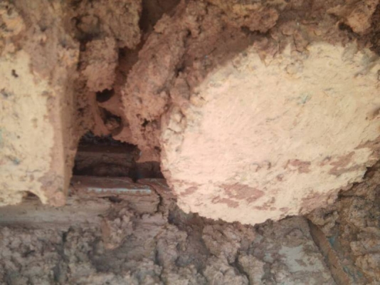 ขายKOBELCO SK200-10 ไมล์4,900ชม.เอกสารชุดจดทะเบียนราคา 2,650,000 ขายKOBELCO SK200-10 ไมล์4,900ชม.เอกสารชุดจดทะเบียนราคา 2,650,000