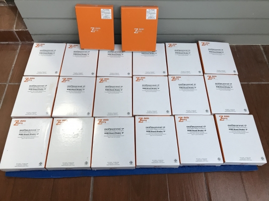 ขายเบรกเกอร์กันไฟดูดไฟช็อตและไฟเกินขนาด20AแบบRCBOยี่ห้อZebergของใหม่ขายราคาถูก