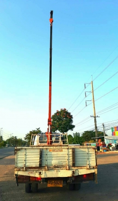 หกล้อ ฮีโน่ FD3H HO7C185โบว์ ติดเครน UNIC 3ตัน 3ปอก กะบะยาว5ม.เครืองดี แคชชีสวย รถสภาพดีใช้งานประจำ ทะเบียน ม.79 หกล้อ ฮีโน่ FD3H HO7C185โบว์ ติดเครน UNIC 3ตัน 3ปอก กะบะยาว5ม.เครืองดี แคชชีสวย รถสภาพดีใช้งานประจำ ทะเบียน ม.79