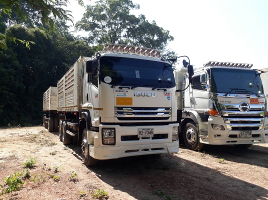 360 GT ปี60 แม่ลูกดั้มพ์สามมิตร 0628349518 360 GT ปี60 แม่ลูกดั้มพ์สามมิตร 0628349518