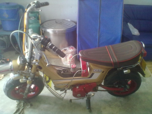 ขายชาลีแต่งสวยเครื่องเวฟ z มีทะเบียน