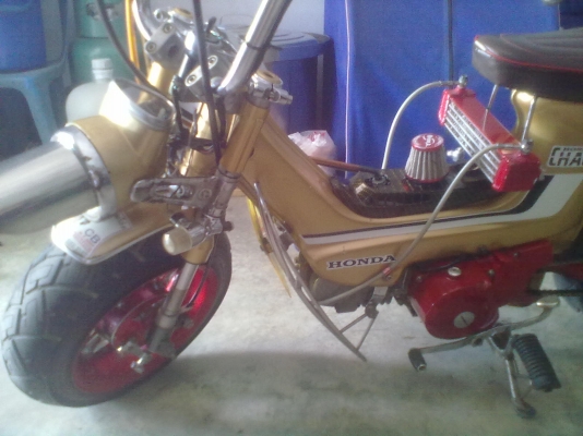 ขายชาลีแต่งสวยเครื่องเวฟ z มีทะเบียน