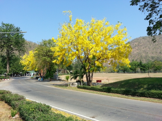 ขายรถยนต์ TOYOTA LANDCRUISER CYGNUS ขายรถยนต์ TOYOTA LANDCRUISER CYGNUS