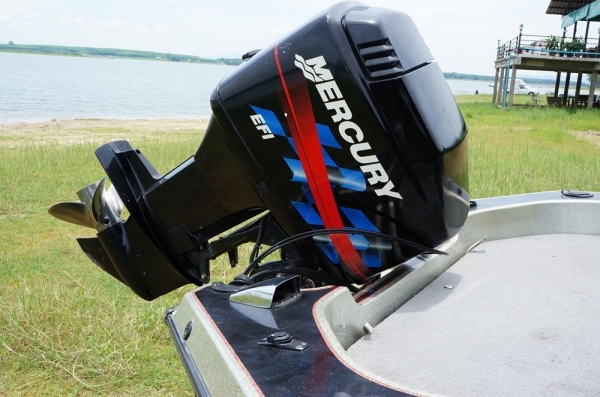 ขายเรือbass champion 19 ฟุต mercury EFI 175hp