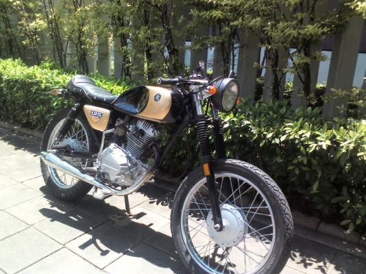 ขาย honda wing cafe