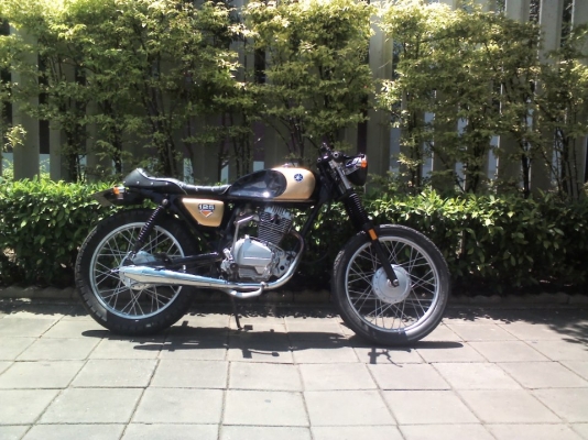 ขาย honda wing cafe