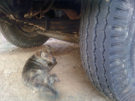 ขาย ISUZU JCR165HPv  ทะเบียนพร้อมโอน รถห้าง ยาว 5.10