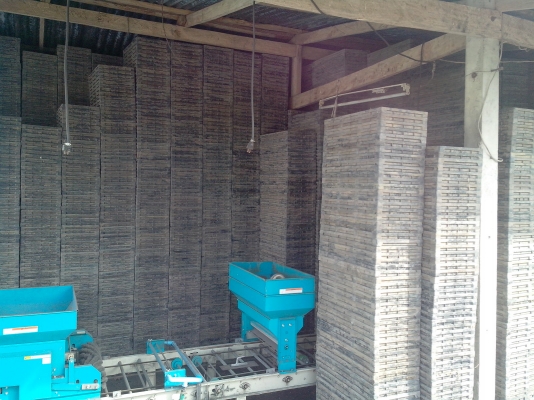 ขายด่วน รถดำนา