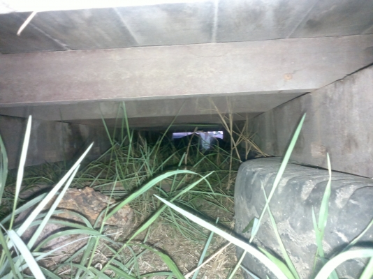 คุณแม่จันทร์ จากมหาสารคาม จองแล้วครับ  ยาว 5 เมตร ถอดจาก NPR150  หน้าตึก