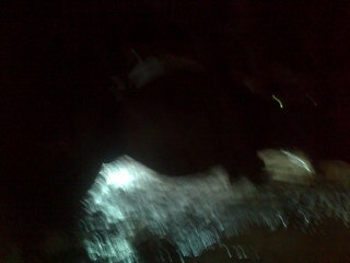 ขายรถ 6 ล้อพื้นเรียบ TOYOTA DAINA เครื่อง 4BE1 110 แรงม้า คัสซี TA3H4-104582 กระบะกว้าง 1.90 เมตรยาว 4.40 เมตร ยางใหม่ทุกเส้น ราคา 260000