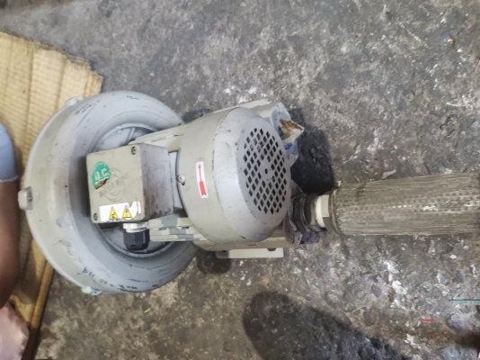 ขาย!! ริงโบว์เวอร์.E.MORE HORN.ขนาด1แรง3สายสภาพเดิมๆพร้อมใช้ ขาย!! ริงโบว์เวอร์.E.MORE HORN.ขนาด1แรง3สายสภาพเดิมๆพร้อมใช้