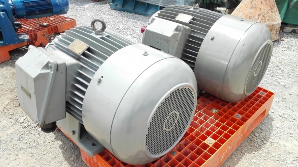 มอเตอร์ไฟฟ้ากำลังยุโรปของใหม่ Elektrim POLAND ขนาด 75 HP 2 P 2970 RPM 380V ของใหม่ 100\% ไม่เคยใช้งาน