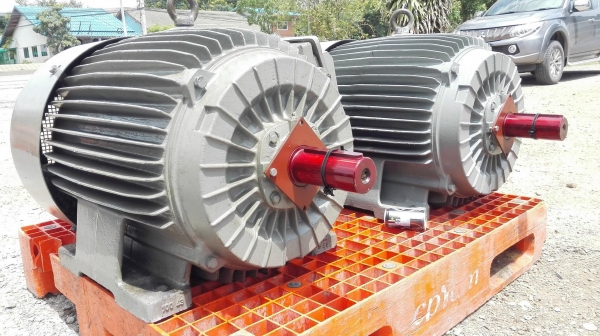 มอเตอร์ไฟฟ้ากำลังยุโรปของใหม่ Elektrim POLAND ขนาด 75 HP 2 P 2970 RPM 380V ของใหม่ 100\% ไม่เคยใช้งาน