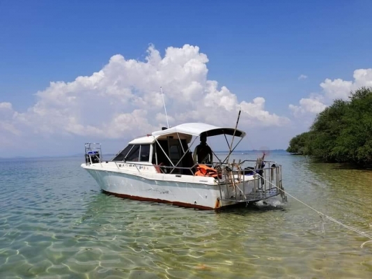ขายเรือ yamaha fc-24