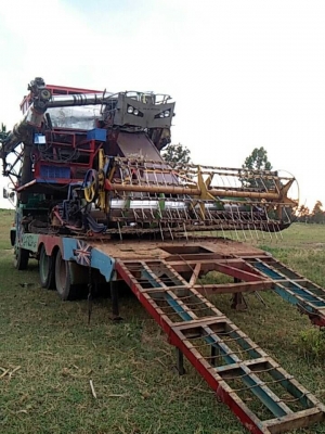 รถเกี่ยวข้าว