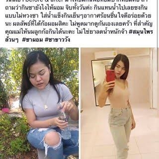 ขายชาชาววัง ชาหญ้าหวาน ราคาส่ง ราคาถูก