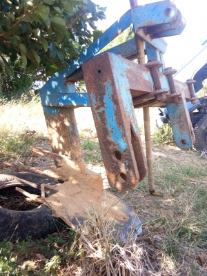 ขายผานขุดมัน