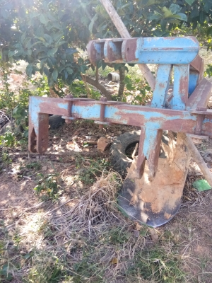 ขายผานขุดมัน