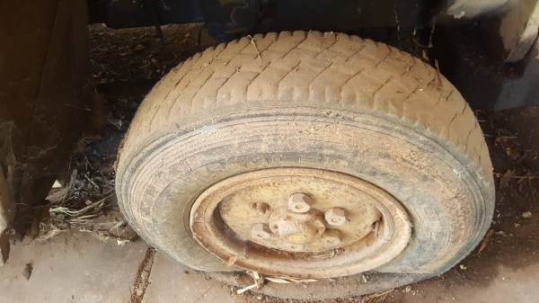 ขาย รถตัก TCM SD23 เกียร์ทอค รถจอดไว้ไม่ค่อยใช้งาน เครื่องมีไอหน่อย ราคาต่อรองได้ครับ