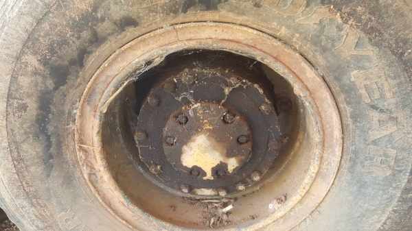 ขาย รถตัก TCM SD23 เกียร์ทอค รถจอดไว้ไม่ค่อยใช้งาน เครื่องมีไอหน่อย ราคาต่อรองได้ครับ