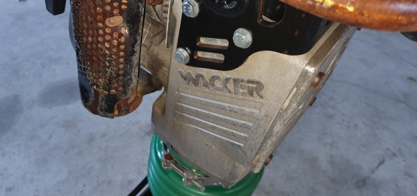 จิงโจ้ ตบดิน