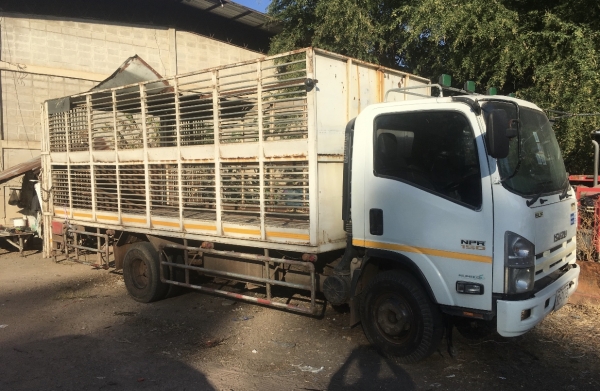 Isuzu NPR150 ปี52 กะบะเหล้ก ยาว 5ม เล่มพร้อมโอน