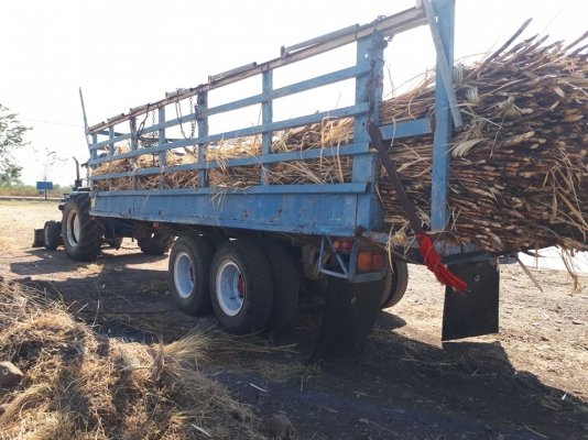 ขายด่วน