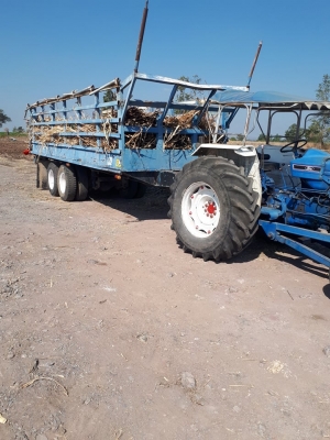 ขายด่วน