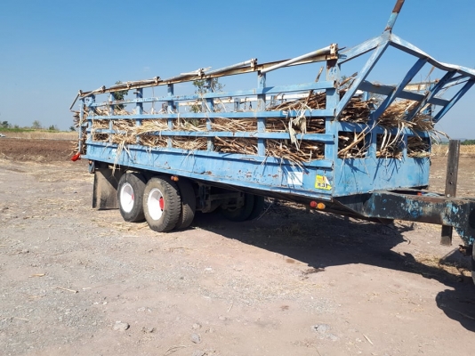 ขายด่วน