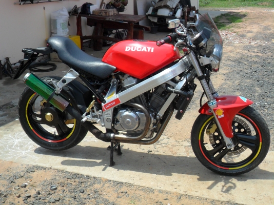 ปรับราคาคว่น//เพิ่มรูปแต่งจบแล้ว HONDA BROS แต่งดูคาติ แนวสตั้นสวย สวย ขาย 55000 ปรับราคาคว่น//เพิ่มรูปแต่งจบแล้ว HONDA BROS แต่งดูคาติ แนวสตั้นสวย สวย ขาย 55000