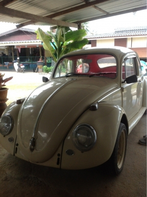 ขายรถเต่า Volkswagen ตาหวานปี66