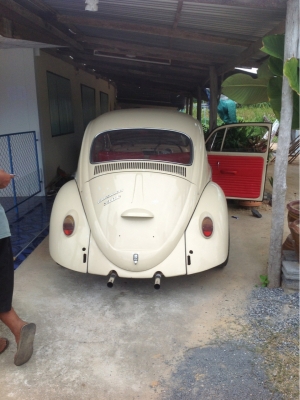 ขายรถเต่า Volkswagen ตาหวานปี66