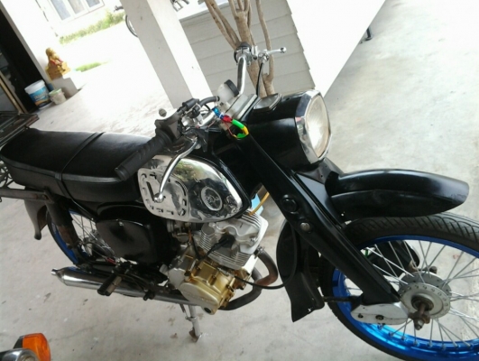 ขาย หมูc95