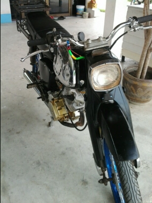 ขาย หมูc95