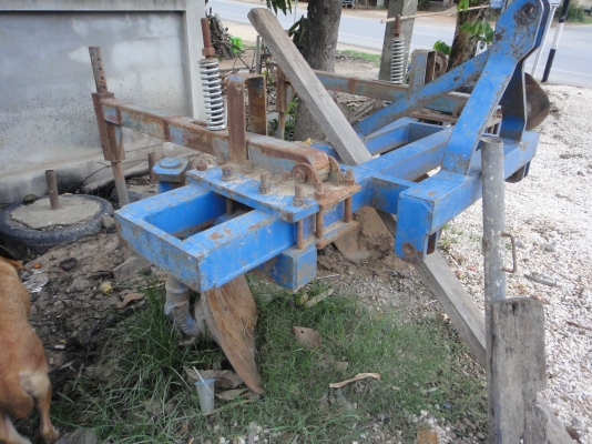 ผาน 3 โครง 4  สวยมาก ใบเต็ม26'  ((086-2126921))