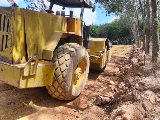 ขายรถบดสั่นสะเทือน 2 เพลาไดน่าแพค