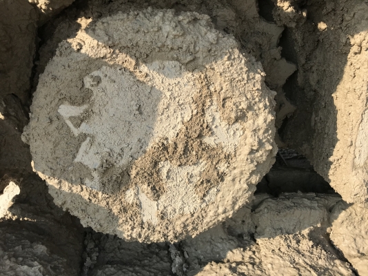 Kobelco sk200-8 yn12 super x เครื่องดี ปั้มแรง เล่มทะเบียน Kobelco sk200-8 yn12 super x เครื่องดี ปั้มแรง เล่มทะเบียน