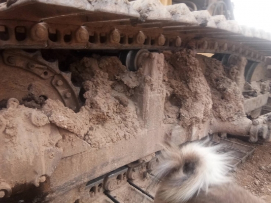 ขายCAT D5B ตีนเป็ดเอกสารเล่มทะเบียน เกียร์ตัดเครื่องดี พร้อมใช้ราคา590000บาทติดต่อคุณอ๊อฟ พิจิตร086-737-9991