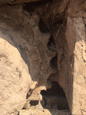 ขายดาวน์500,000 SANY215.5300ชม.ยังอยู่ในPM7,000ชม.ของบริษัท ส่งต่ออีก28งวดๆละ69,000=1,932,000 ค่าเปลี่ยนสัญาญา12,000 รวมทั้งหมดทุกอย่าง2,432,000 วัรับรถจ่ายจริงเงินดาวน์500,000ค่าเปลี่ยนสัญาญา12,000ค่าคอม20,000รวม532,000 รับรถกลับบ้านได้เลยค่ะ