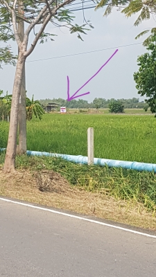 ขายที่ดินกรุงเทพเขตหนองจอก