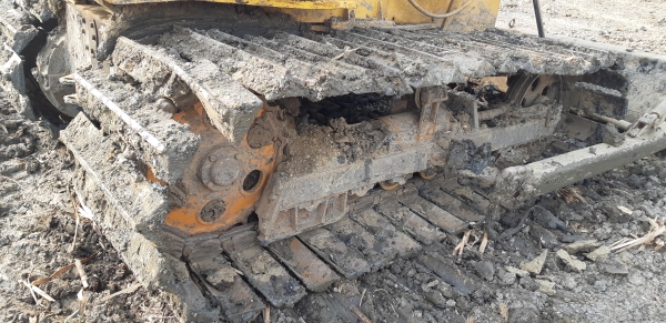 ขายD20PLโคมัสสุแทรก70สวย