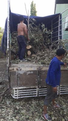 บริการรถรับจ้างสงขลา บริการเร่งด่วนท่านกำลังรถรับจ้างเพื่อย้ายของอยู่ใช่หรือไม่ รับรองไม่มีผิดหวัง บริการรถรับจ้างสงขลา บริการเร่งด่วนท่านกำลังรถรับจ้างเพื่อย้ายของอยู่ใช่หรือไม่ รับรองไม่มีผิดหวัง