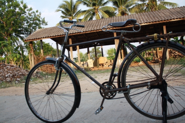 ขายด่วนจักรยานโบราณชาย