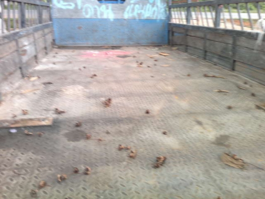 รถอิซูซุ 6 ล้อ รั่ว 110 แรงม้า  สนใจติดต่อ 081 - 6079515