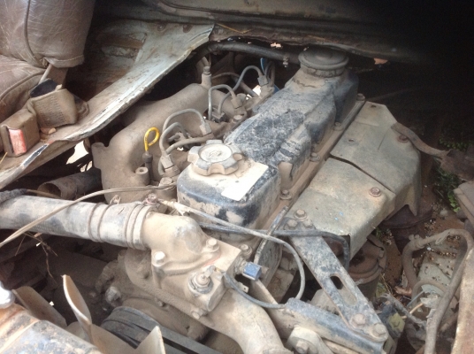 ขายของแปลกๆๆ