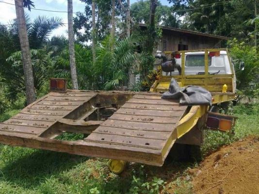 ขาย กะบะ ท้ายลาด ( บรรทุกแบคโฮ )  สนใจติดต่อ 081 - 6079515